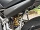 Ducati Monster