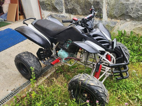 Bashan BS200S-7