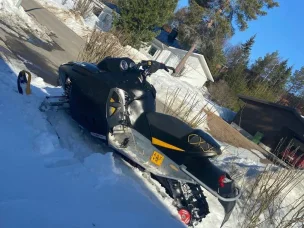 Lynx 600