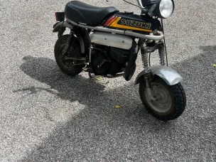 Suzuki PV
