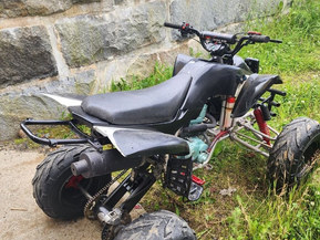 Bashan BS200S-7