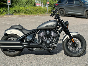 Indian Chief