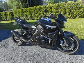 Suzuki GSX
