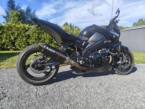 Suzuki GSX