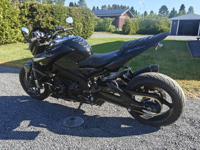Suzuki GSX