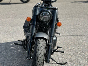 Indian Chief