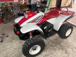 Polaris Trail Boss