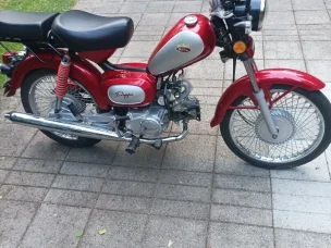 Solifer Pappa