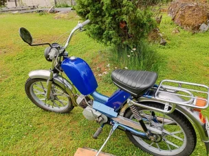 Solifer Export