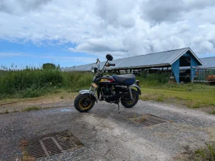 Suzuki PV