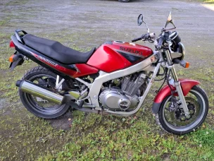 Suzuki GS