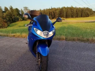 Triumph Sprint