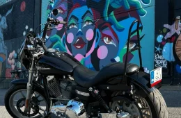 Harley-Davidson Dyna