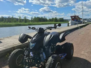 Dinli 450