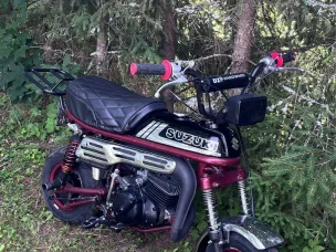 Suzuki PV