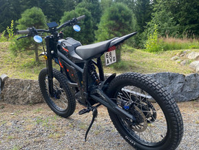 Talaria Sting Pro