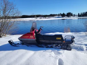 Lynx 250