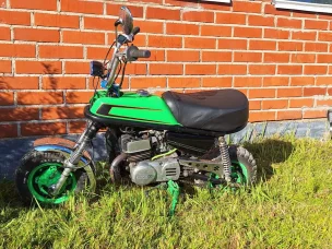 Suzuki PV