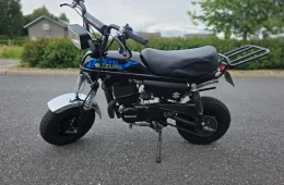 Suzuki PV