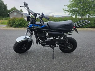 Suzuki PV