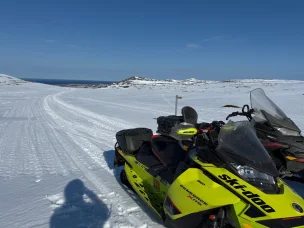 Ski-Doo Renegade