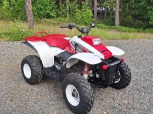 Polaris Trail Boss
