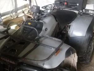 Linhai 300 2x4