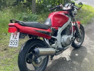 Suzuki GS