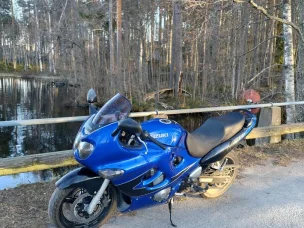 Suzuki GSX-F