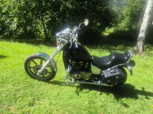 Kawasaki LTD
