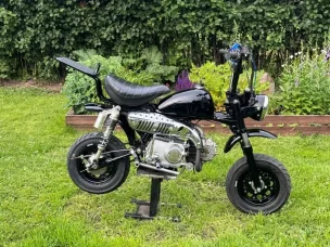 Zhenua Monkey