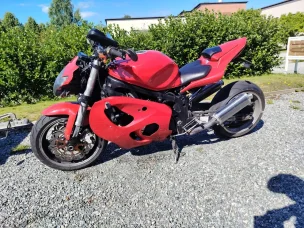 Suzuki TL
