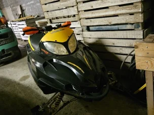 Arctic Cat F6