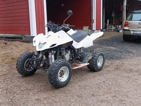 Dinli 450