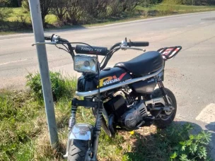 Suzuki PV