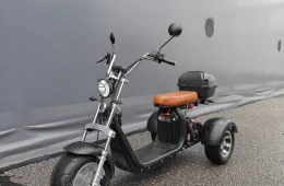 Motokettu Muu