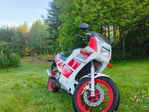 Yamaha TZR