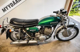 Suzuki T