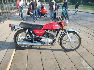 Suzuki T