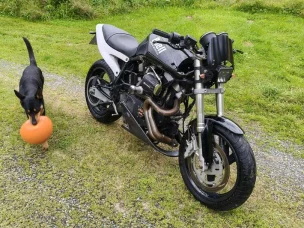 Buell Lightning