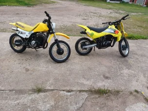 Suzuki Jr
