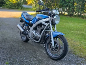 Suzuki GS