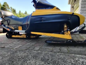 Lynx Cobra