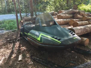 Arctic Cat Wildcat