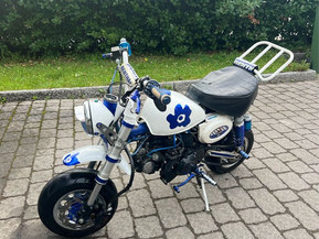 Zhenua Monkey