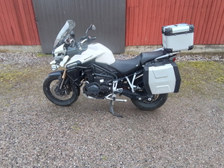 Triumph Tiger