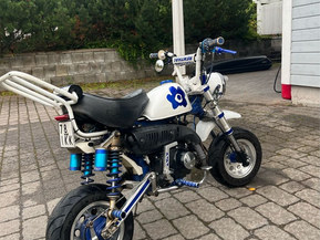 Zhenua Monkey
