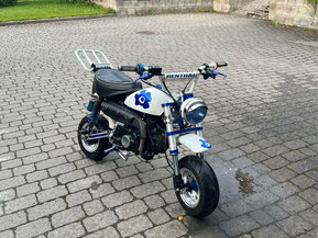 Zhenua Monkey