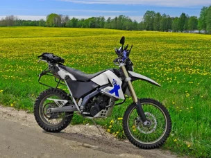 BMW G