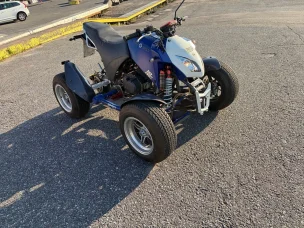 Bashan BS300S